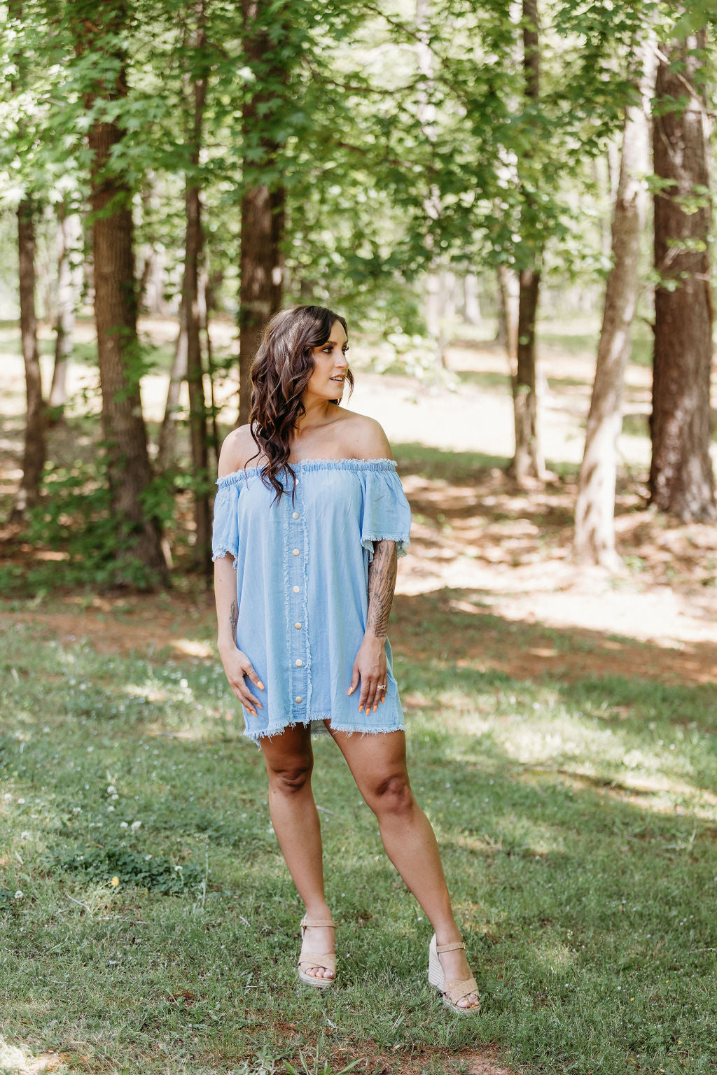 LaLa Denim Dress