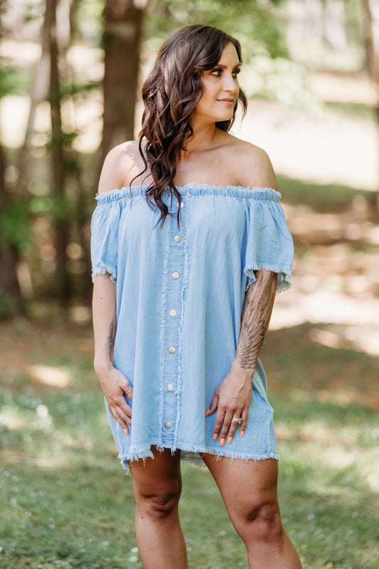 LaLa Denim Dress