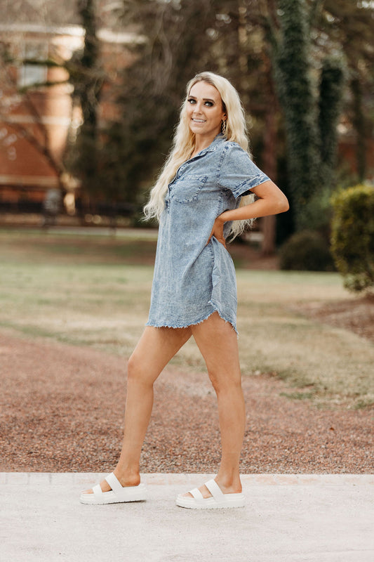 Jamie Denim Shirt Dress