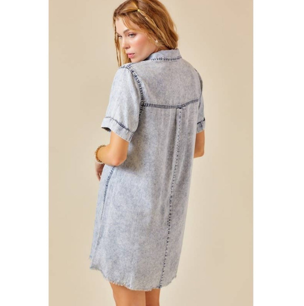 Jamie Denim Shirt Dress